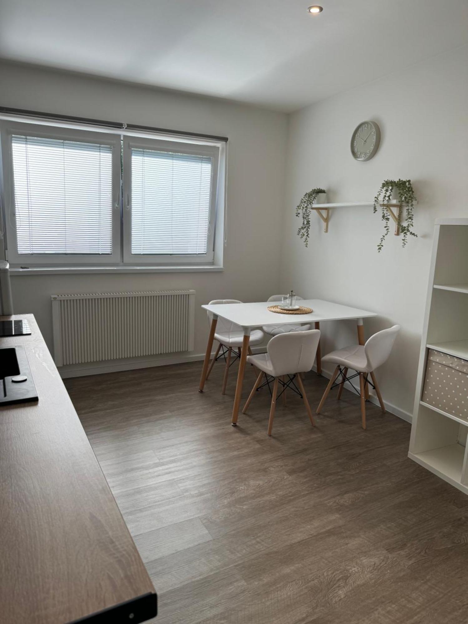 Rk Apartment #4 Brno Buitenkant foto